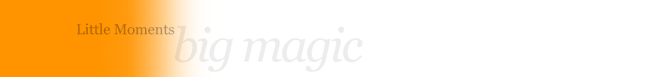 Little Moments Big Magic